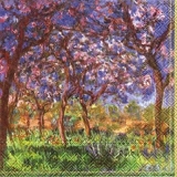 Blühende Obstbäume - Flowering fruit trees, Blossom - Arbres fruitiers fleurissant