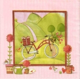 Mit dem Fahrrad zum Picknick - With the bycicle for a picnic - Avec le vélo pour un pique-nique