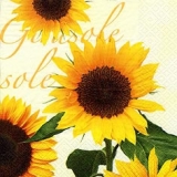 Sonnenblume,Girasole