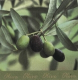 Olive brunch