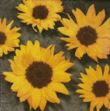 Viele Sonnenblumen
