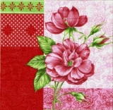 Wunderschöne Rosen - Beautiful Roses - Roses joli