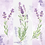 Zarte Lavendelzweige - Lavender - Lavande
